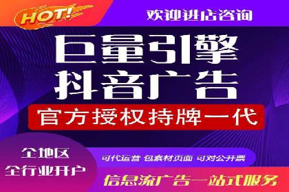 解析某某SEM服务公司的广告投放策略与效果评估